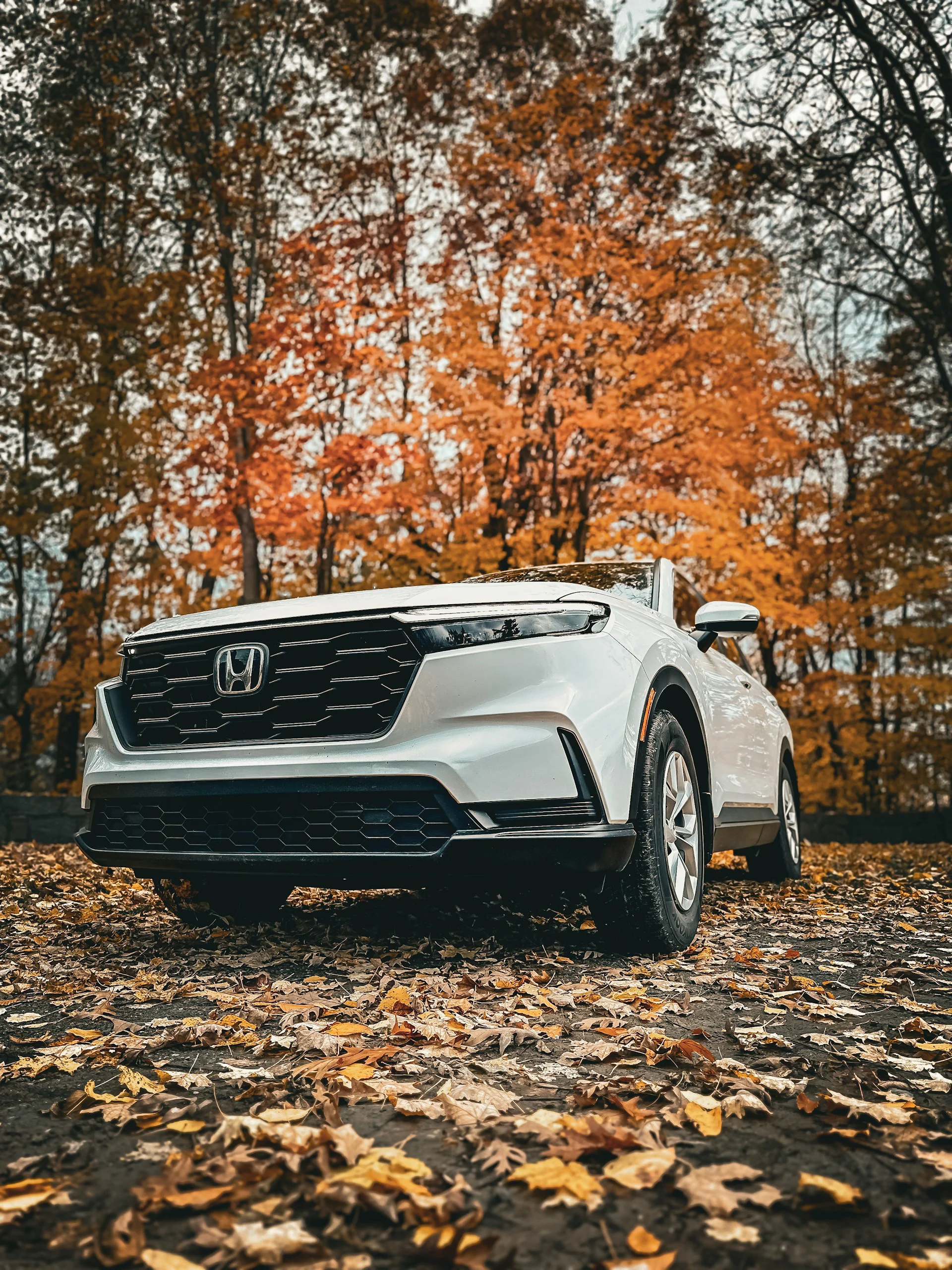 Honda Certified Collision Repair In Jamestown NY White Honda SUV parked on fallen leaves in an autumn setting.